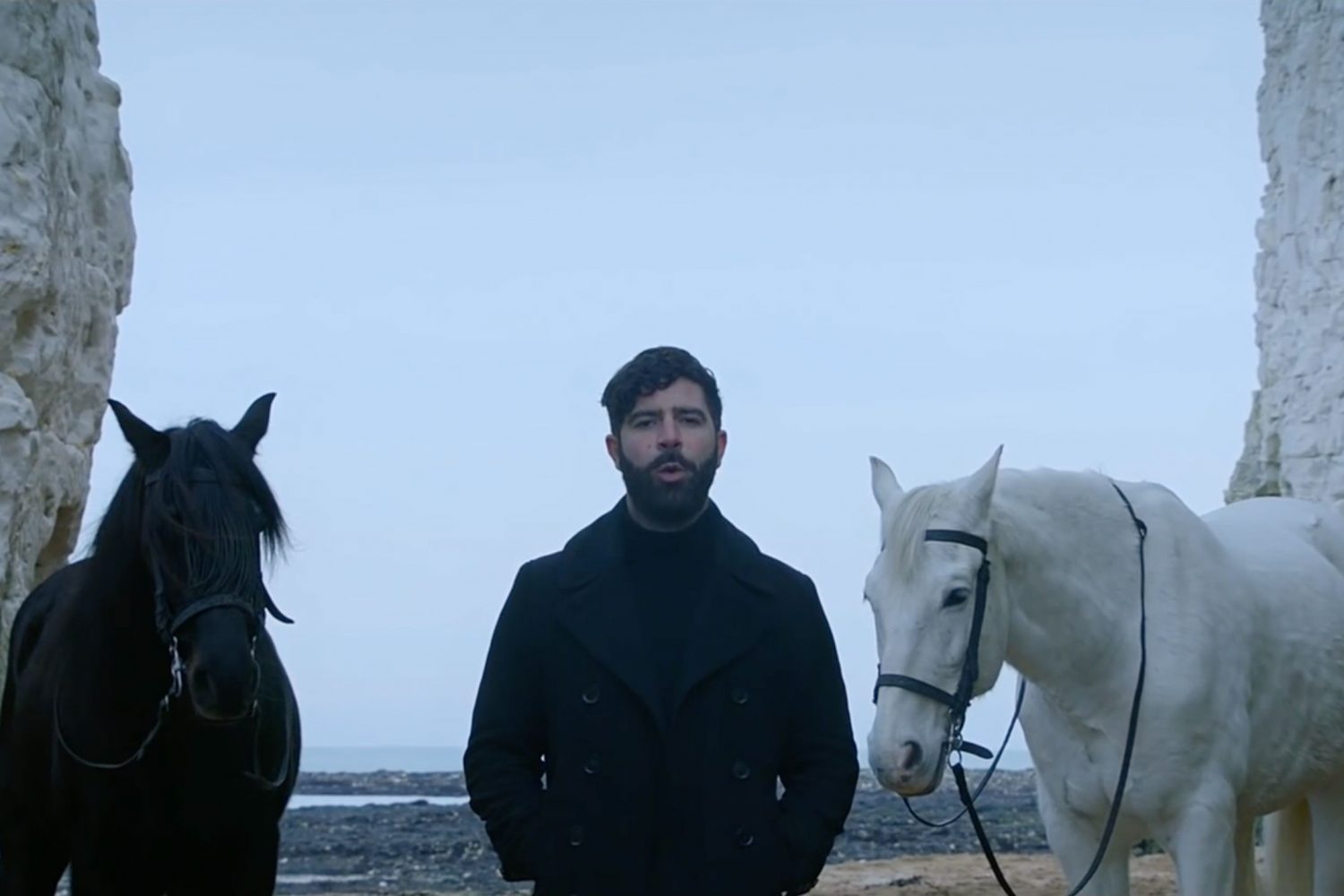 foals